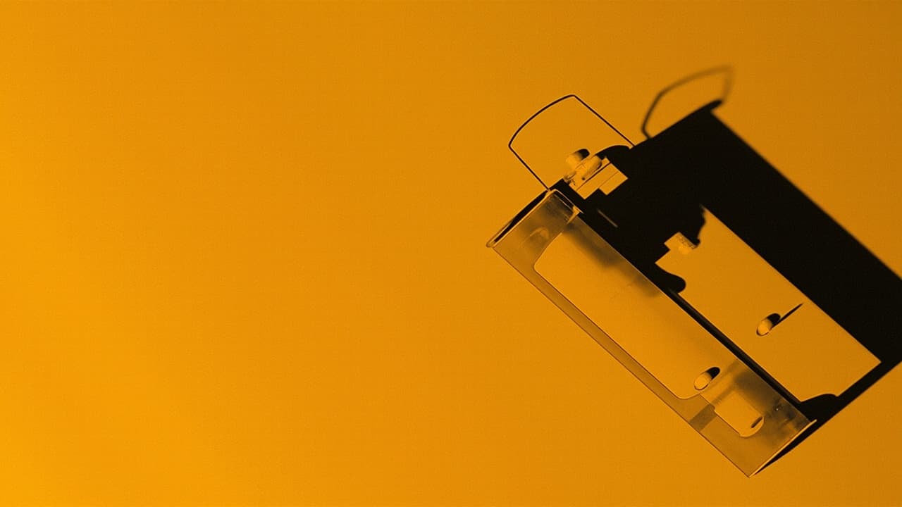 Ворота 19, лінія 5: Єретична проекція правильного підходу