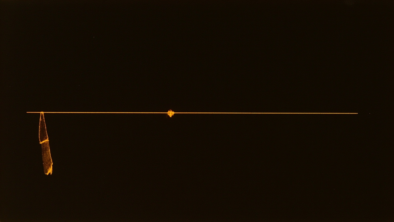Gate 36 Line 6: The Return of the Light — Role-Model of the Dark Night