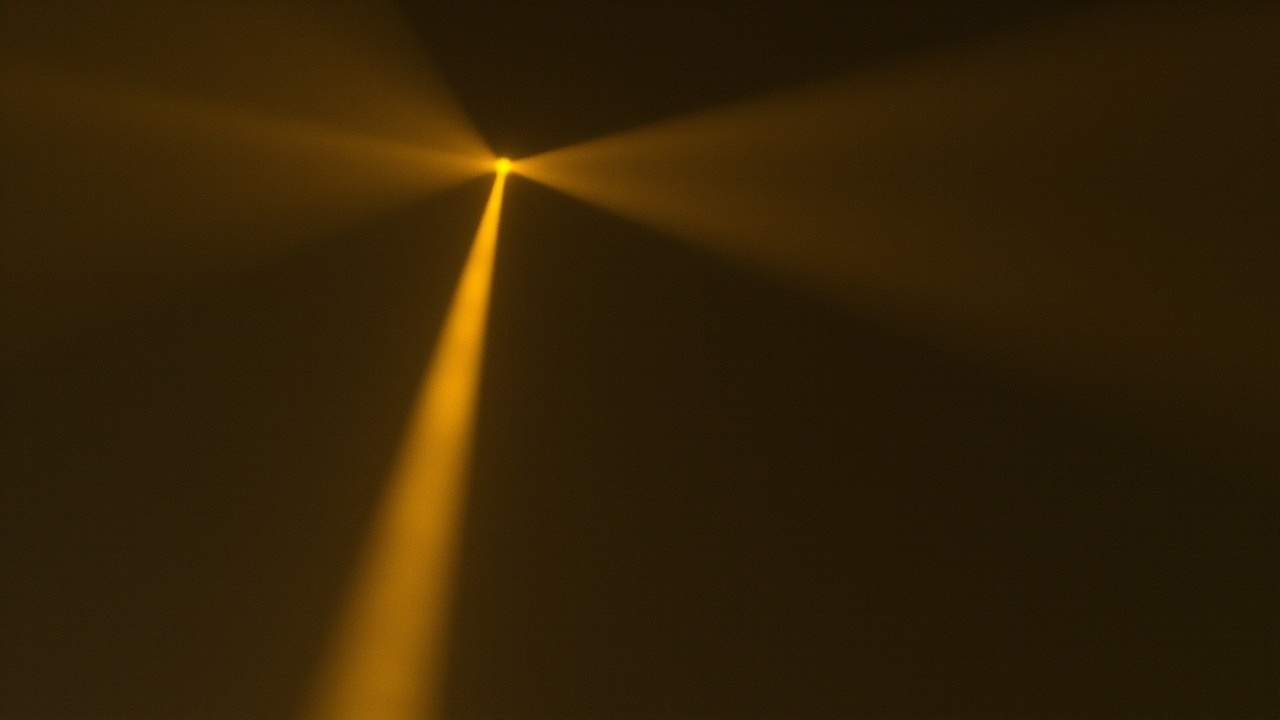 Joël Robuchon's Human Design: Projector 2/4