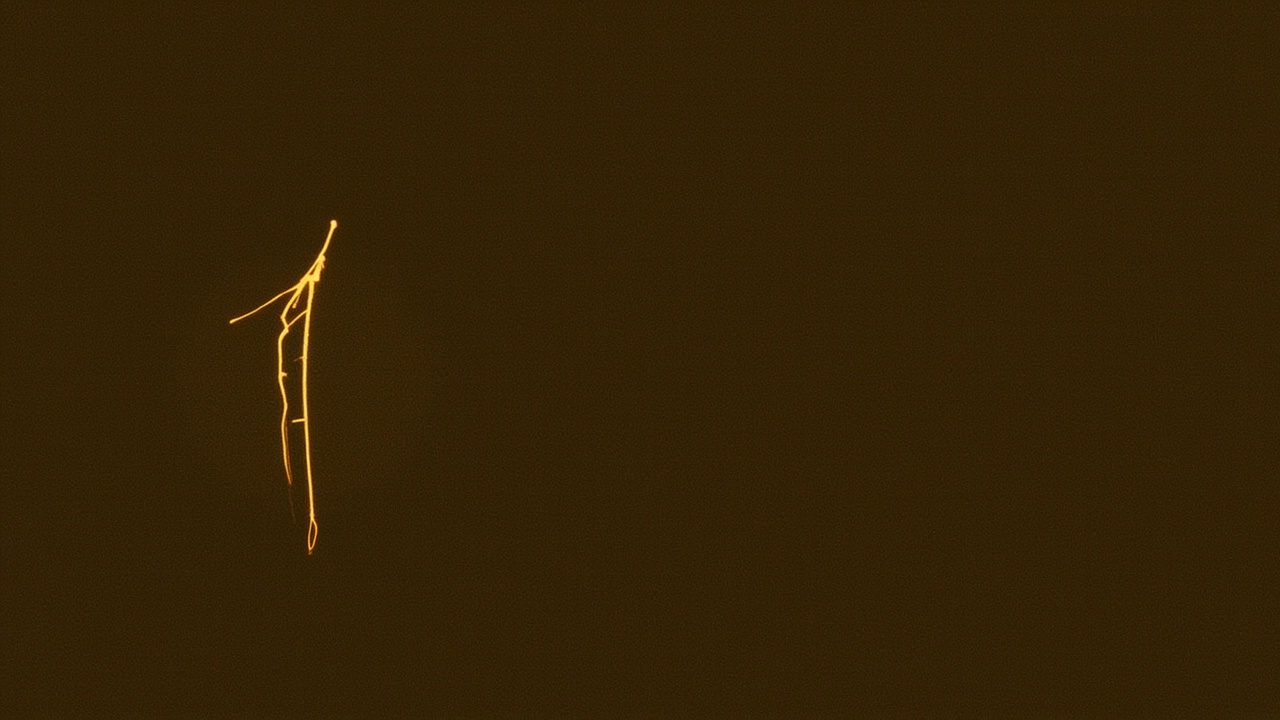 Miki Higashino-ს Human Design: Manifesting Generator 2/4